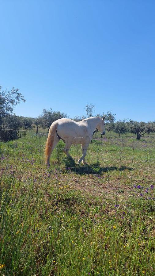Willa Casa Coral Sao Marcos do Campo Zewnętrze zdjęcie